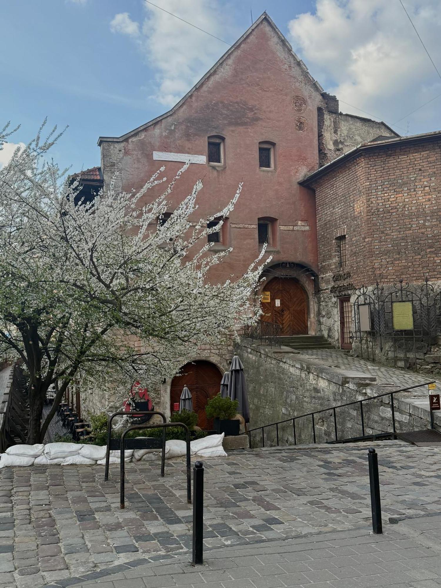 нове! Miamo лисенка 11 * Lviv